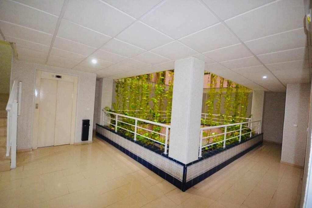 טורבייחה Apartamento Pink Sweet Home מראה חיצוני תמונה